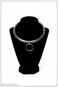 Stainless Steel Collar