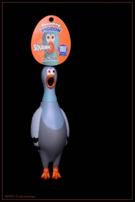 Squawking Pigeon