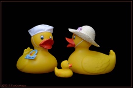 Rubber Duckies